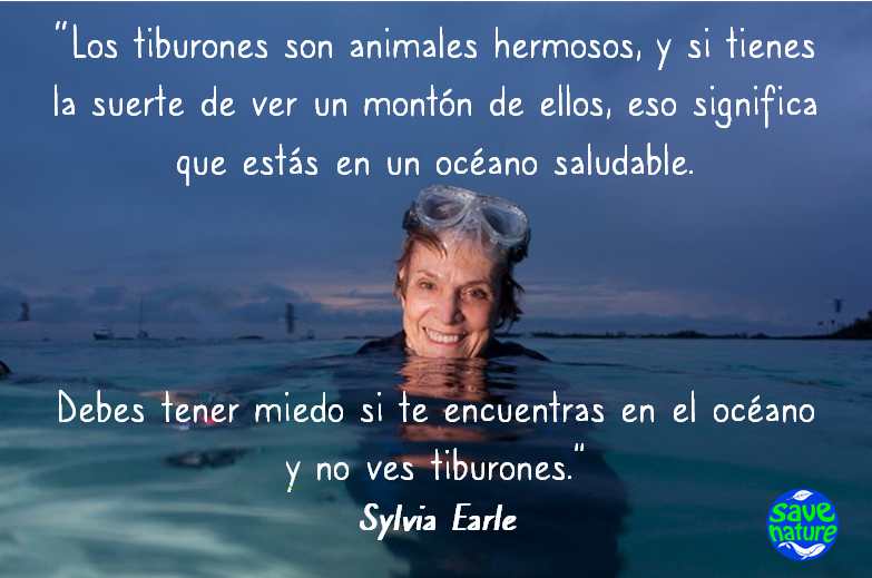 sylvia earle frase tiburones